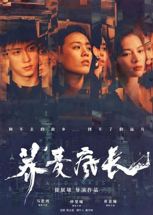 办假的爱沙尼亚签证